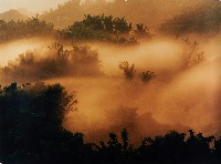 藏品(無名)的圖片