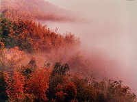 藏品(彩竹的故鄉系列-1994年3月 內門烏山頭)的圖片