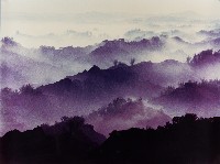 藏品(無名)的圖片