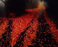 藏品(彩竹的故鄉系列-1998年3月 龍崎烏山頭)的圖片