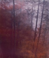 藏品(無名)的圖片