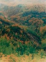 藏品(彩竹的故鄉系列-1998年3月 內門烏山頭)的圖片