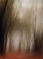 藏品(無名)的圖片