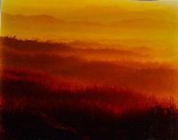 藏品(無名)的圖片