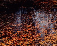 藏品(彩竹的故鄉系列-1997年10月 龍崎烏山腳)的圖片