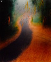 藏品(彩竹的故鄉系列-1993年8月 龍崎烏山頭)的圖片