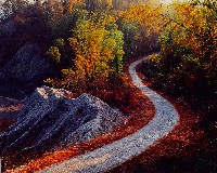 藏品(無名)的圖片