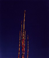 藏品(彩竹的故鄉系列-1996年9月 龍崎烏樹林)的圖片