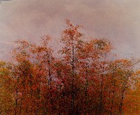 藏品(無名)的圖片