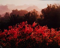 藏品(無名)的圖片