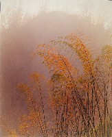 藏品(無名)的圖片