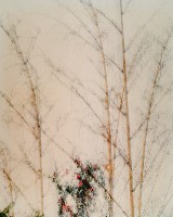 藏品(彩竹的故鄉系列-1996年9月 新化大坑尾)的圖片