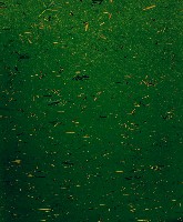 藏品(彩竹的故鄉系列-1996年11月 田寮古亭)的圖片