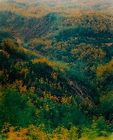 藏品(彩竹的故鄉系列-1998年3月 內門烏山頭)的圖片