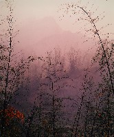 藏品(無名)的圖片