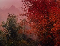 藏品(無名)的圖片