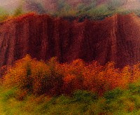 藏品(無名)的圖片