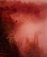 藏品(無名)的圖片