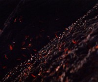 藏品(無名)的圖片