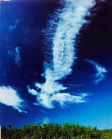 藏品(飛龍在天)的圖片