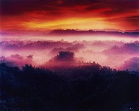 藏品(無名)的圖片