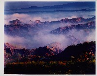 藏品(無名)的圖片