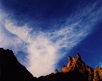 藏品(無名)的圖片