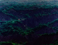 藏品(無名)的圖片