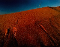 藏品(無名)的圖片