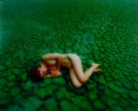 藏品(無名)的圖片