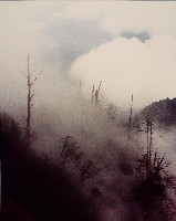 藏品(無名)的圖片