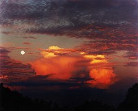 藏品(無名)的圖片