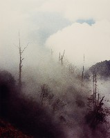 藏品(無名)的圖片