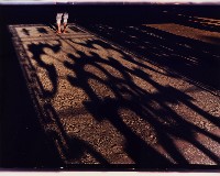 藏品(無名)的圖片