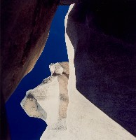 藏品(猿)的圖片