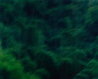 藏品(彩竹的故鄉系列-1996年9月 龍崎龍船窩)的圖片