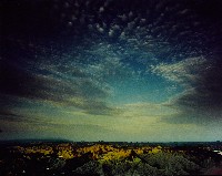 藏品(無名)的圖片