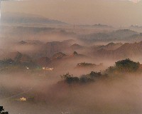 藏品(無名)的圖片