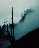 藏品(無名)的圖片