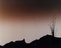 藏品(無名)的圖片