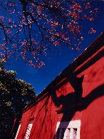 藏品(全台首學系列-1994年6月25日 上午8時左右)的圖片