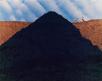 藏品(無名)的圖片