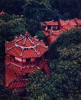 藏品(無名)的圖片