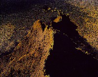 藏品(無名)的圖片