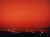 藏品(無名)的圖片