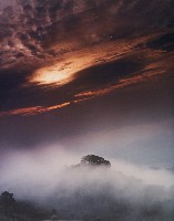 藏品(無名)的圖片