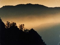 藏品(阿里山之晨)的圖片