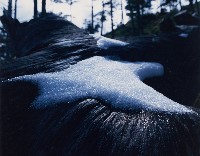 藏品(無名)的圖片