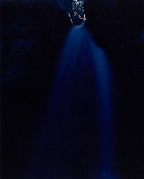 藏品(無名)的圖片