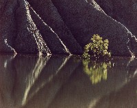 藏品(無名)的圖片